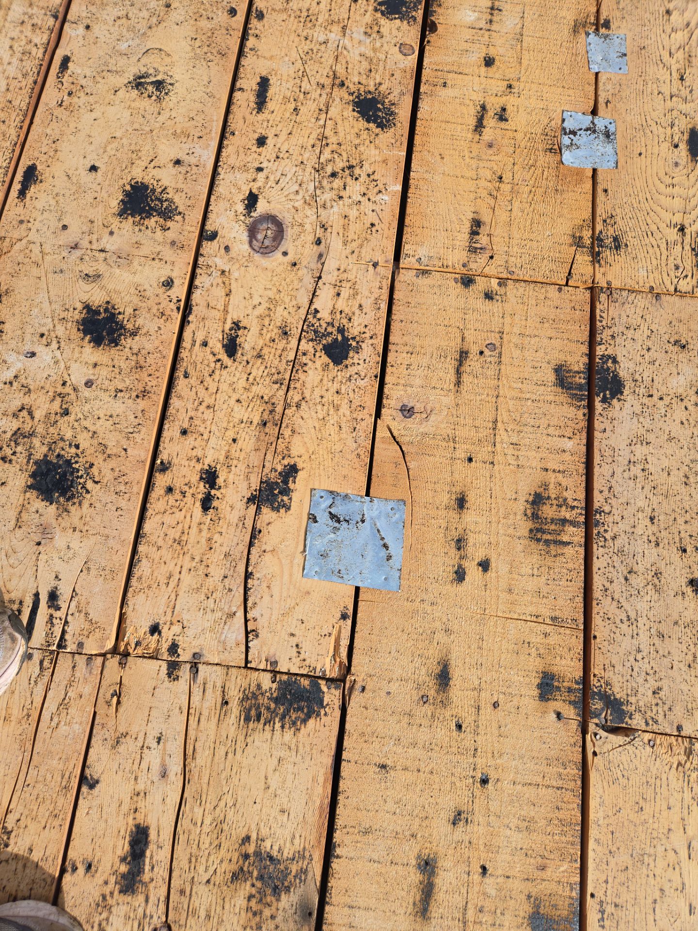 Project in Seminole 33772 by Mitchell Roofing Company LLC 