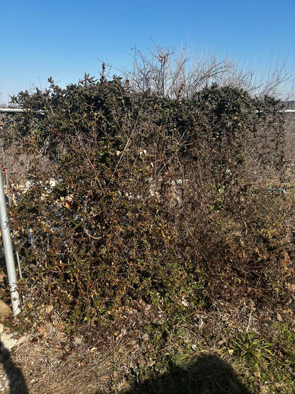 Chain Link Fence Repair and Custom Gate Installation – East St. Louis, IL by Legendary Services Company LLC.