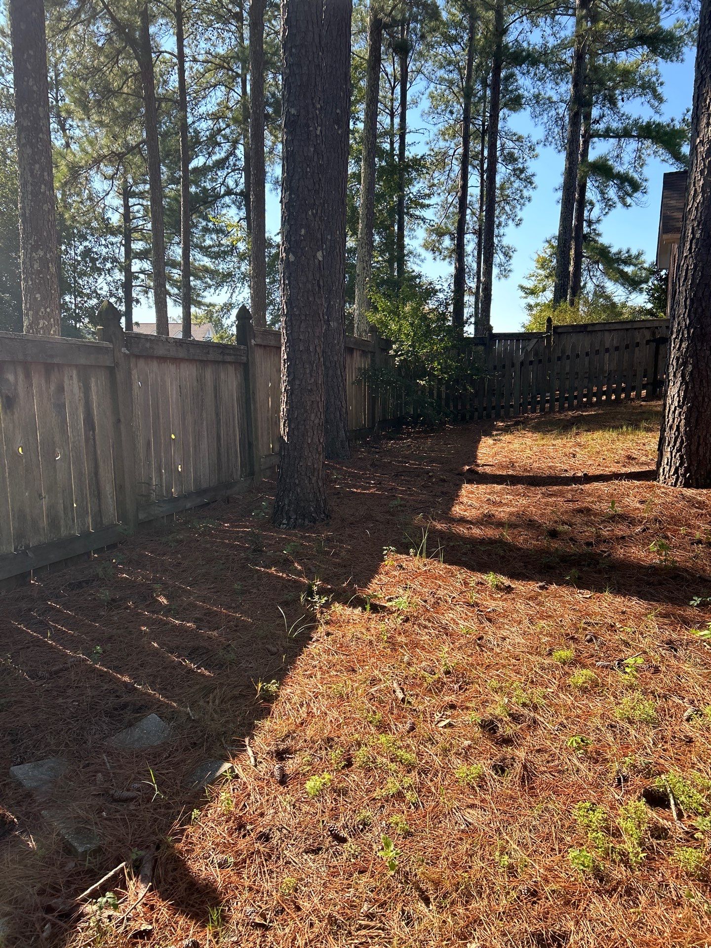 6’ Cedar Good Neighbor 6x6 by Roberson Construction LLC