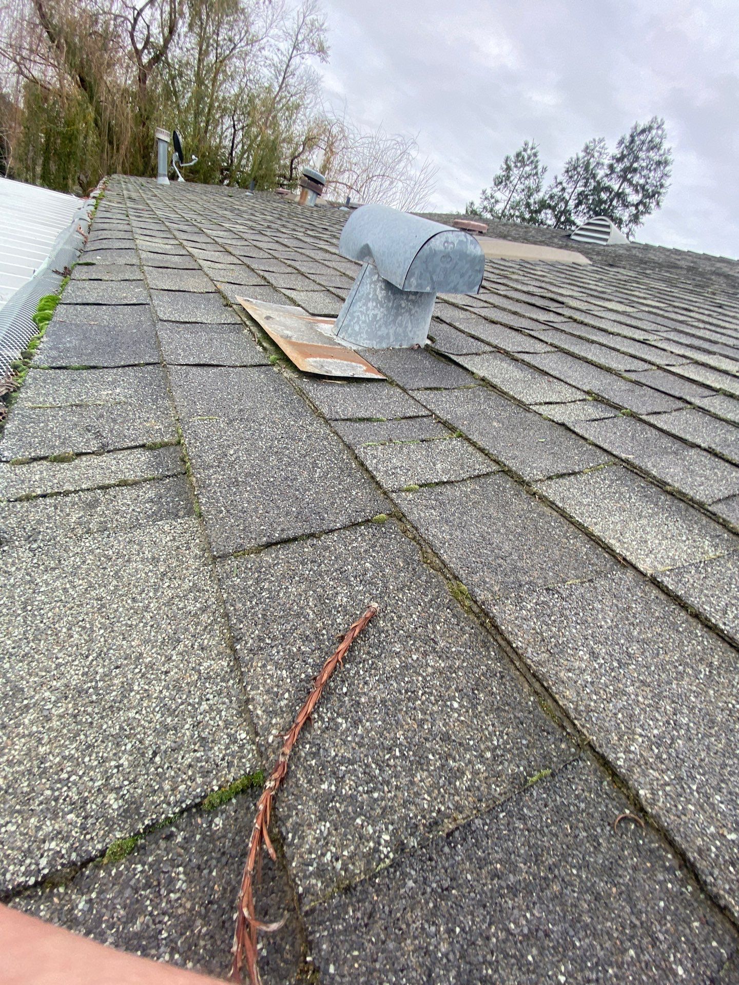 Roof Rejuvenation using Roof Maxx Treatment by Roof Maxx of Folsom