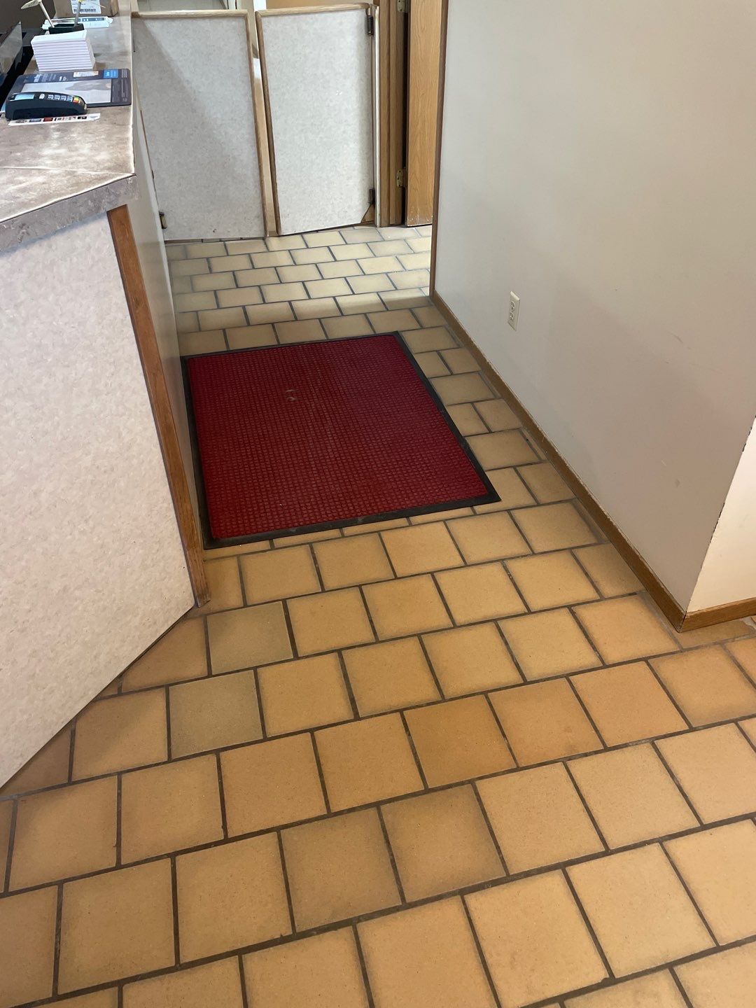 York Animal Clinic by Granite Garage Floors