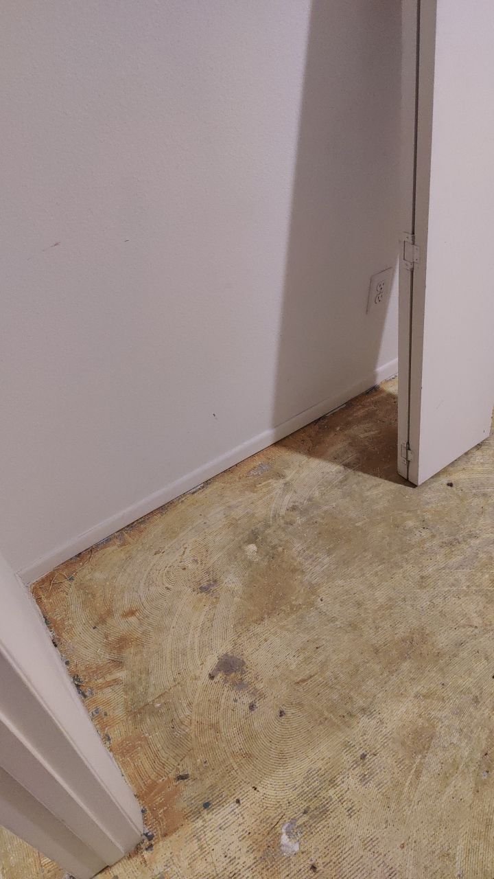 Water Damage by Accountable Home Services
