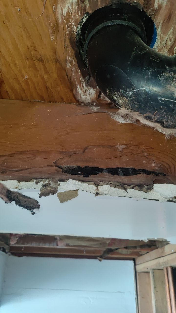 Water Damage  by Accountable Home Services