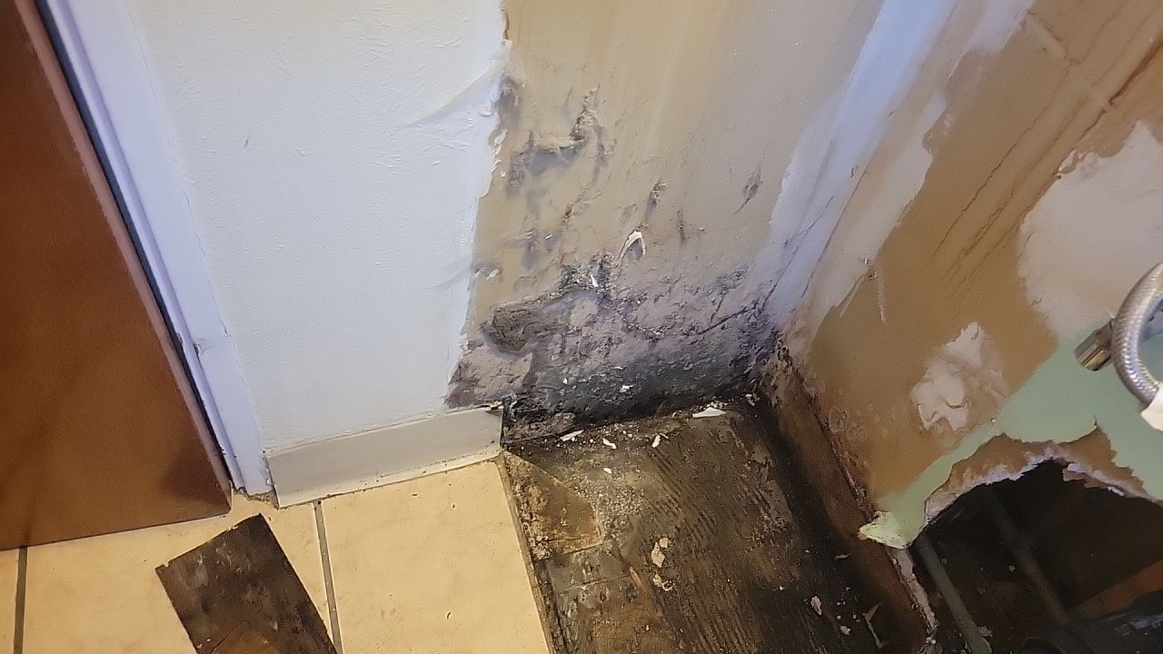 Water Damage by Accountable Home Services