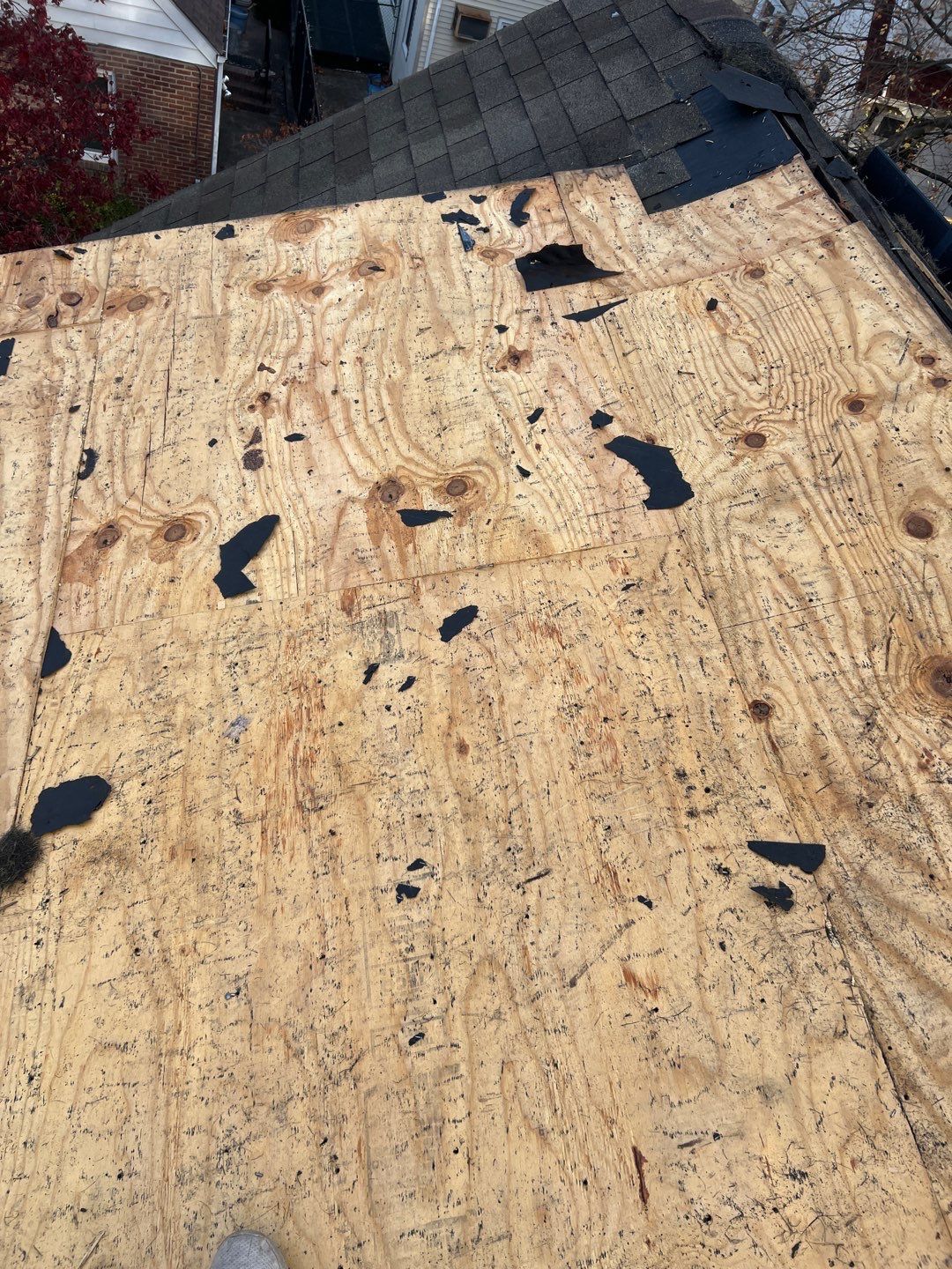Autumn Harvest Shingles by Reimagine Roofing