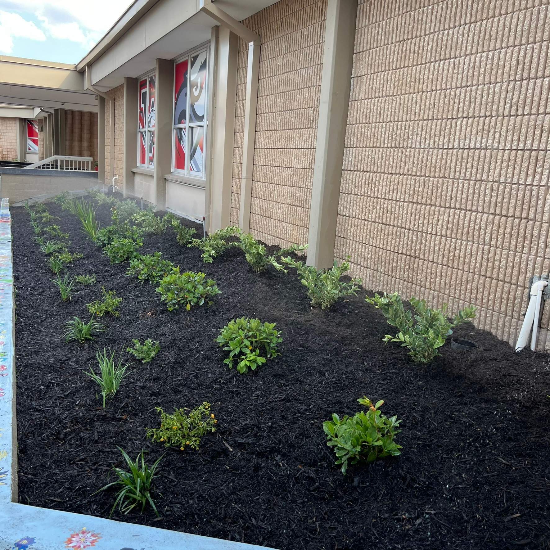 Landscape Install | Wilkinson JHS by ProGreen Services