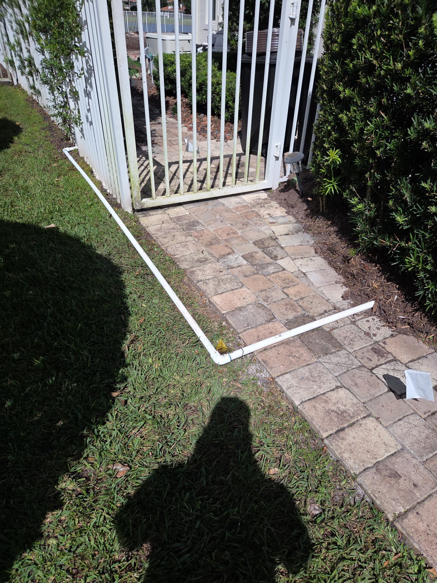 Hammock Creek Estate | Phase 1 – The Art of Precision Removal by Alpha Zeta Enterprises Inc