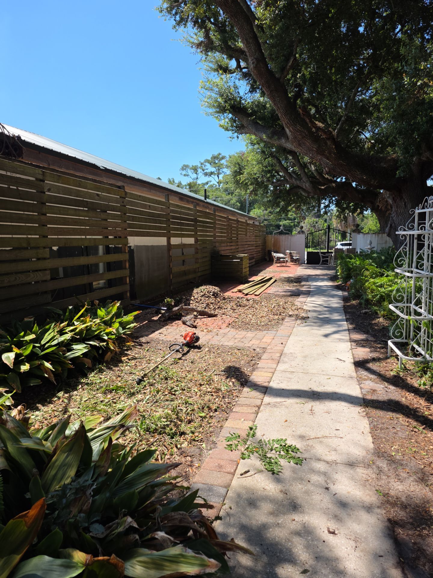 Commercial Property | Clean Up & Tree Removal by ProGreen Services