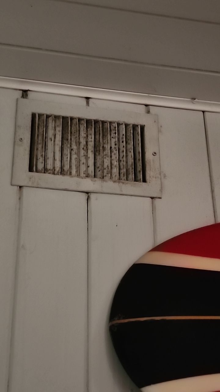 Mold testing by Building performance Solutions LLC