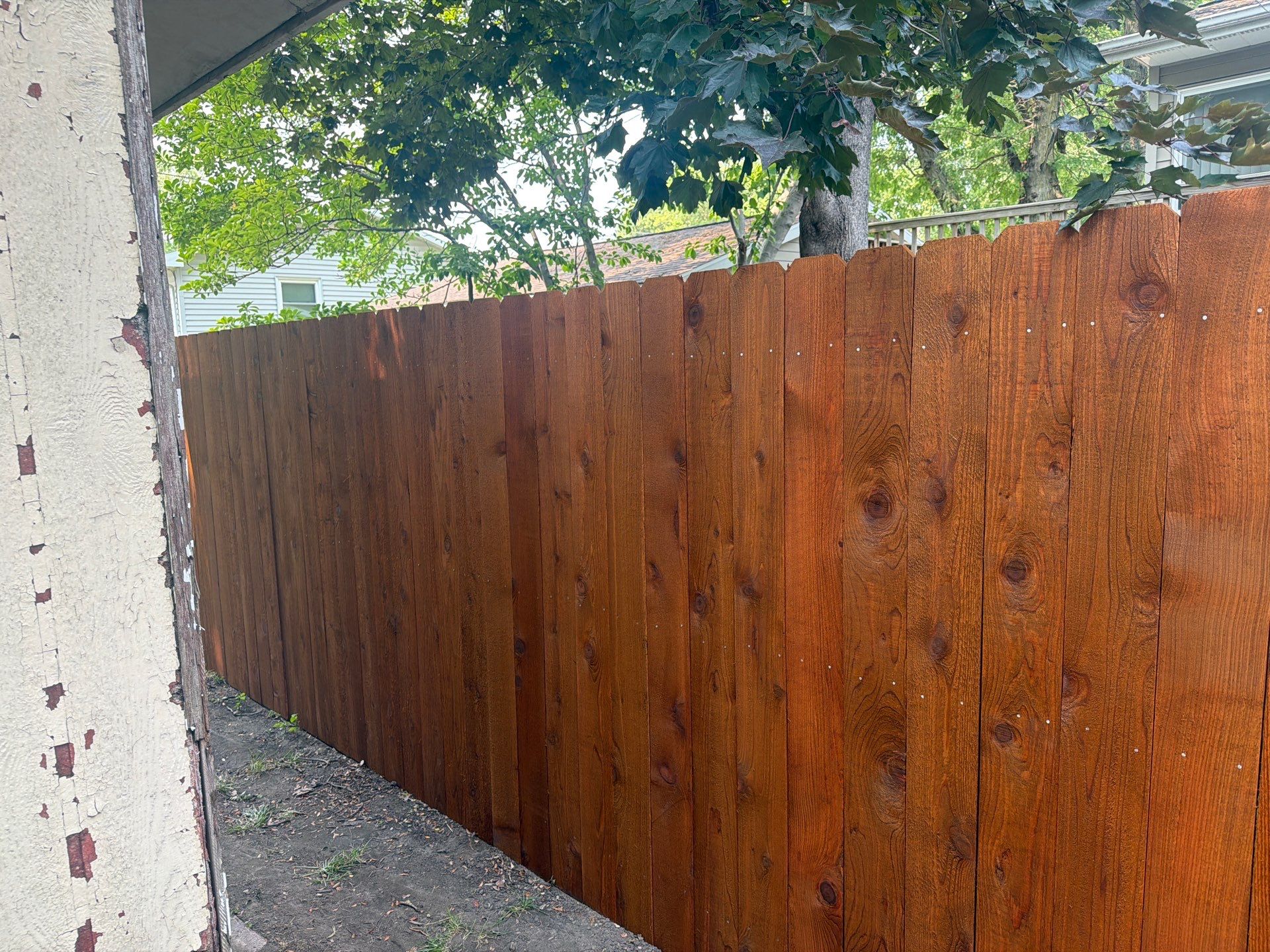 Pecan Cedar Privacy Fence Installation with Scalloped Top in Cedar Falls by Perfect Picket Fence and Stain