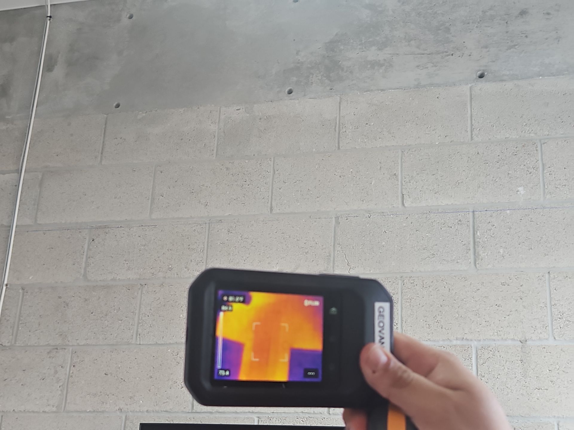 Commercial Mold Removal  by Ampm Restoration Services 