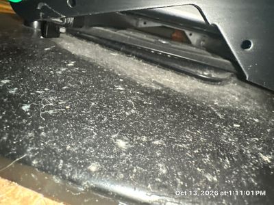 Mold Remediation — Fort Myers, FL
