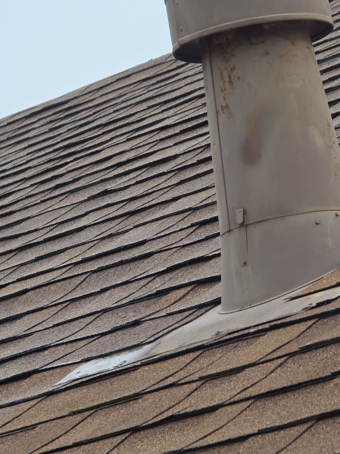 Roof Rejuvenation using Roof Maxx Treatment by Roof Maxx of Folsom