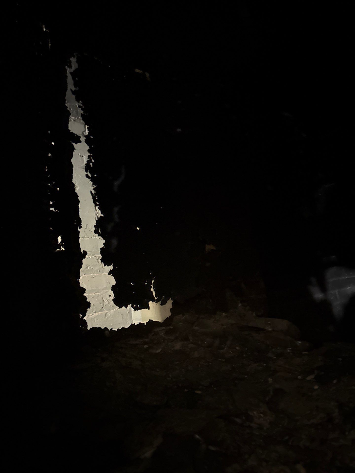 Boiler Cleaning & Flue Rebuild by Thermacore