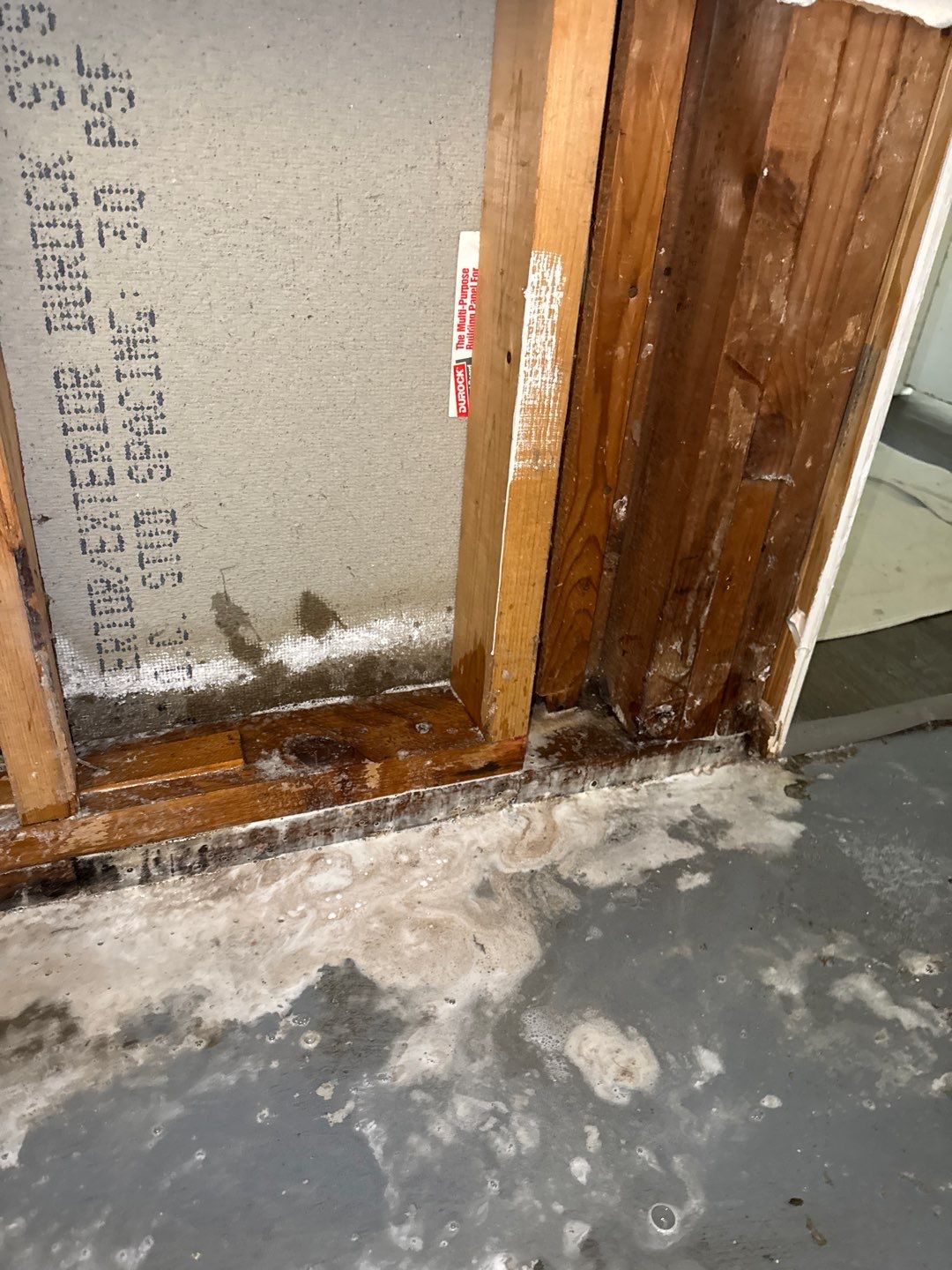 Wilmette Basement Sewage Extraction and Structural Drying Mitigation by Chicagoland Water Medics
