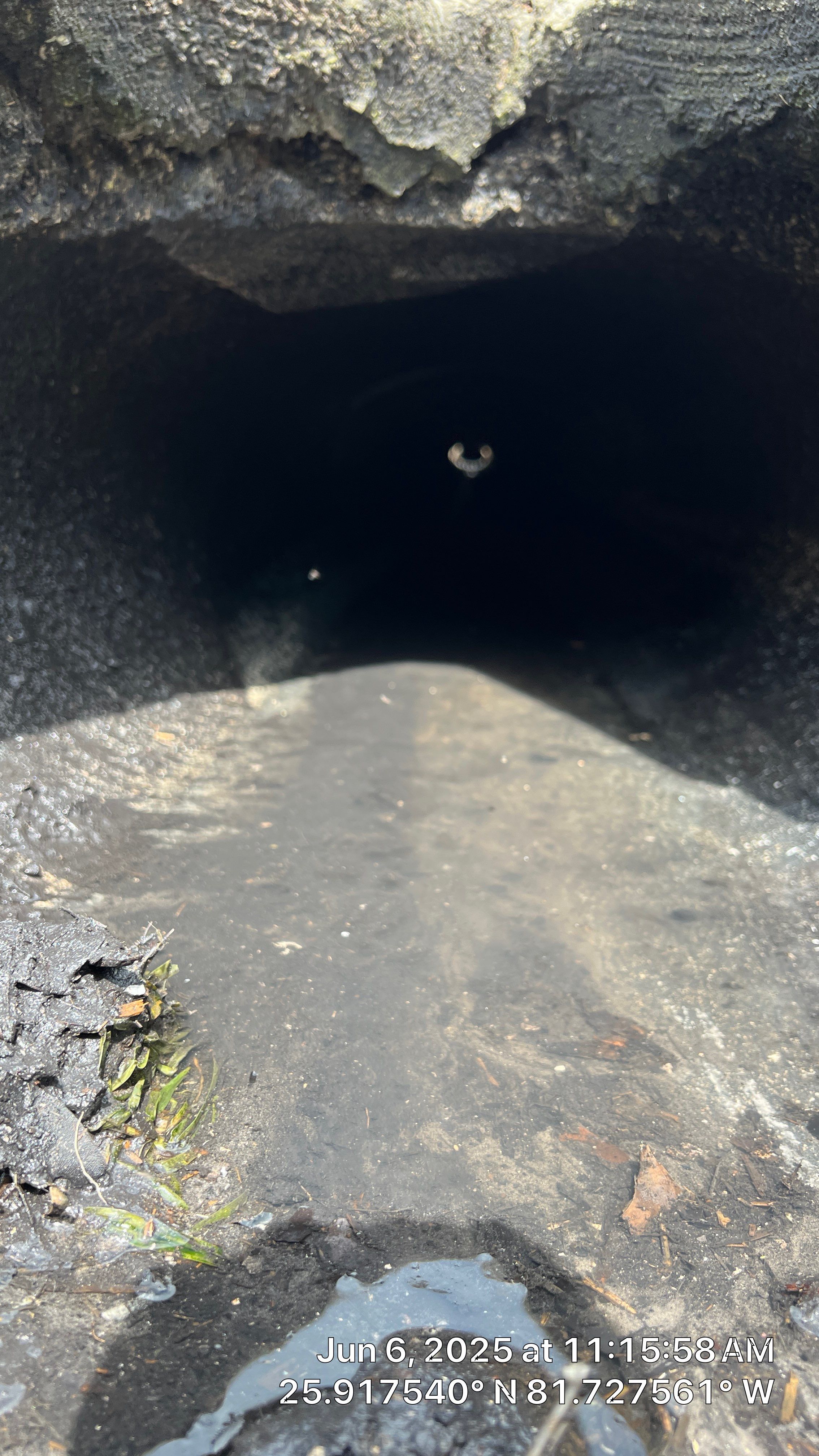 Marco Island Condo Stormwater System Maintenance by Don Mar, Inc. Storm Water Solutions