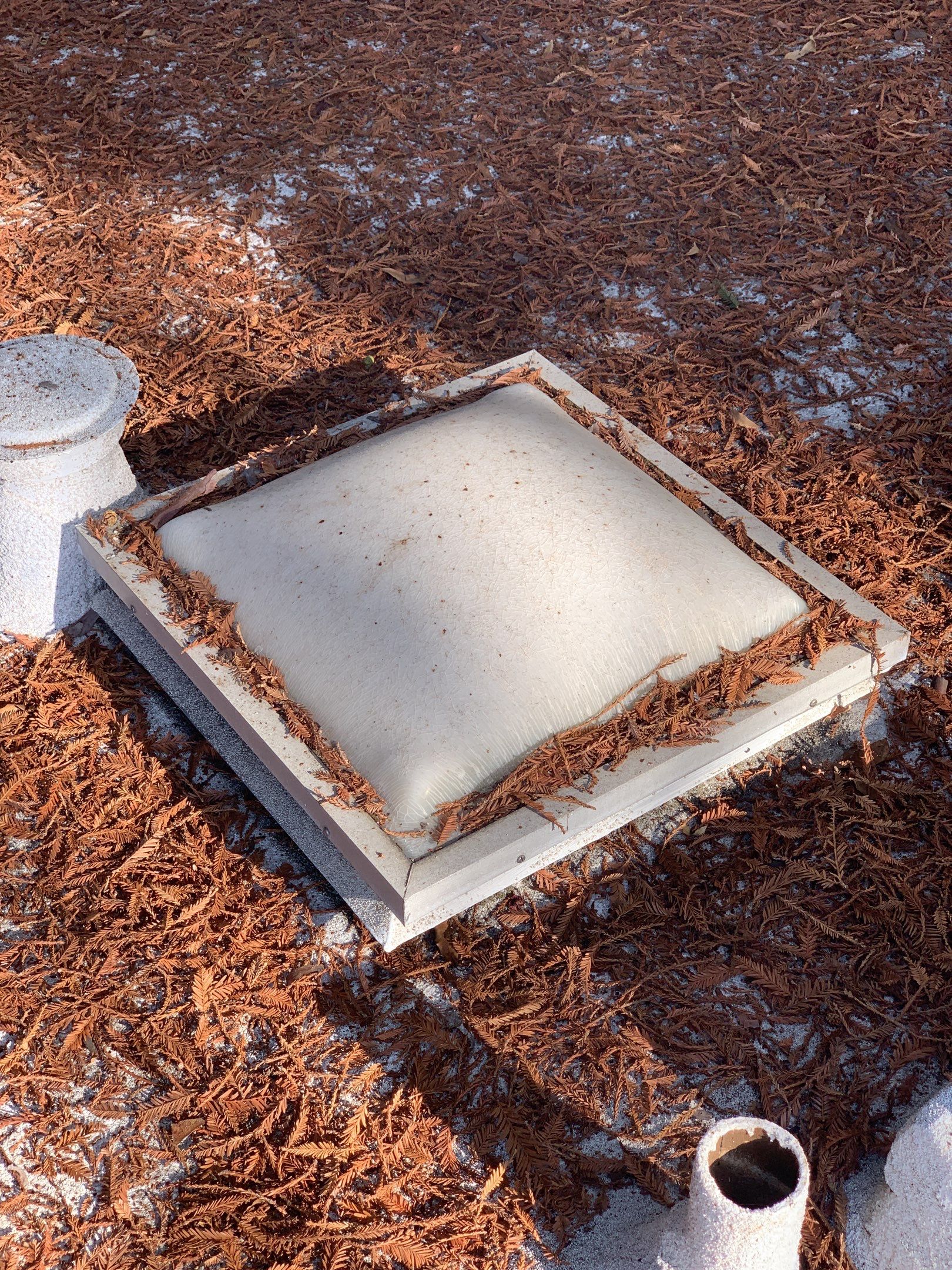 Elise Hurwitz’ Window Clean by SpotFree Window Cleaning