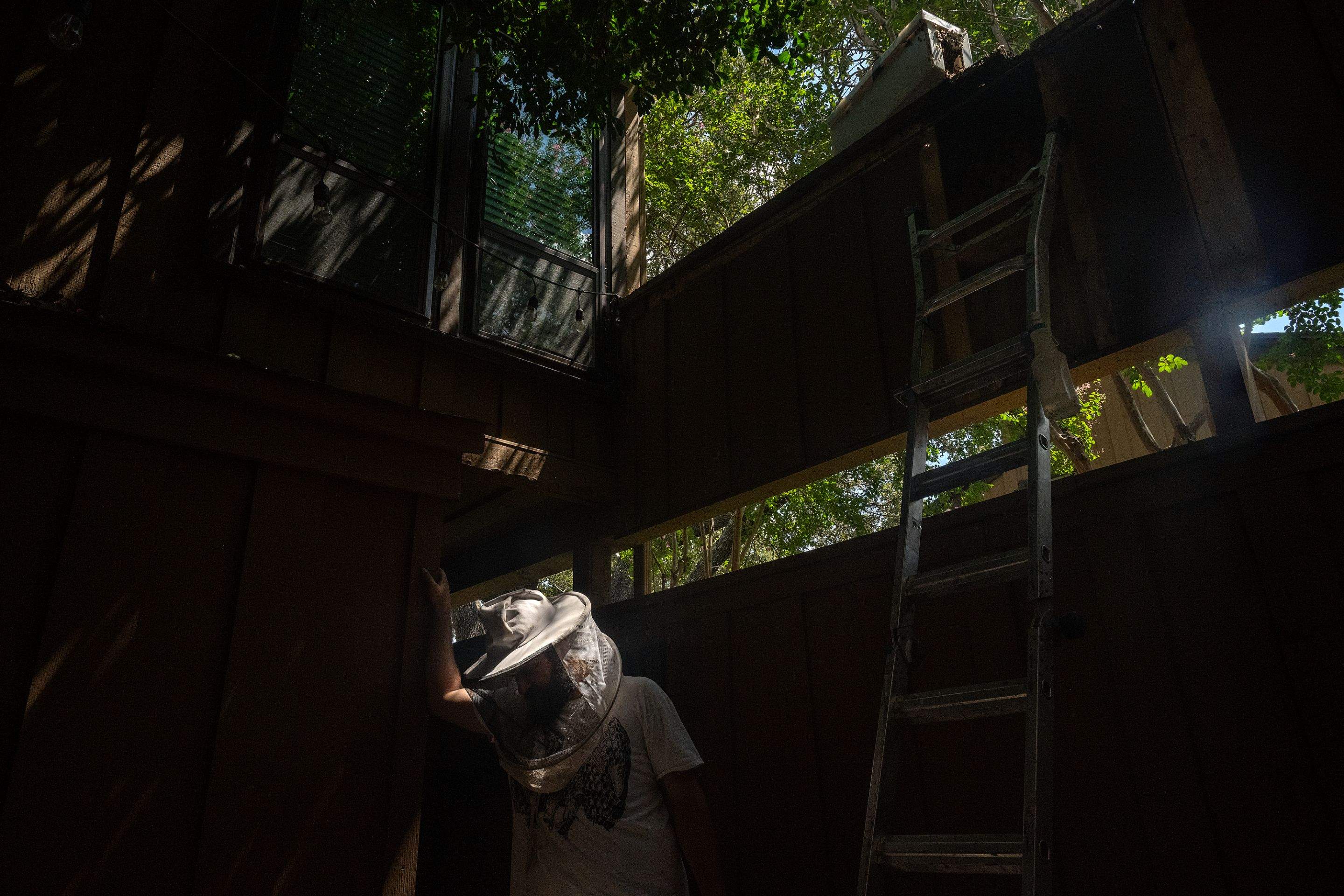 Condo Patio by Rockwall Honey Bee Company