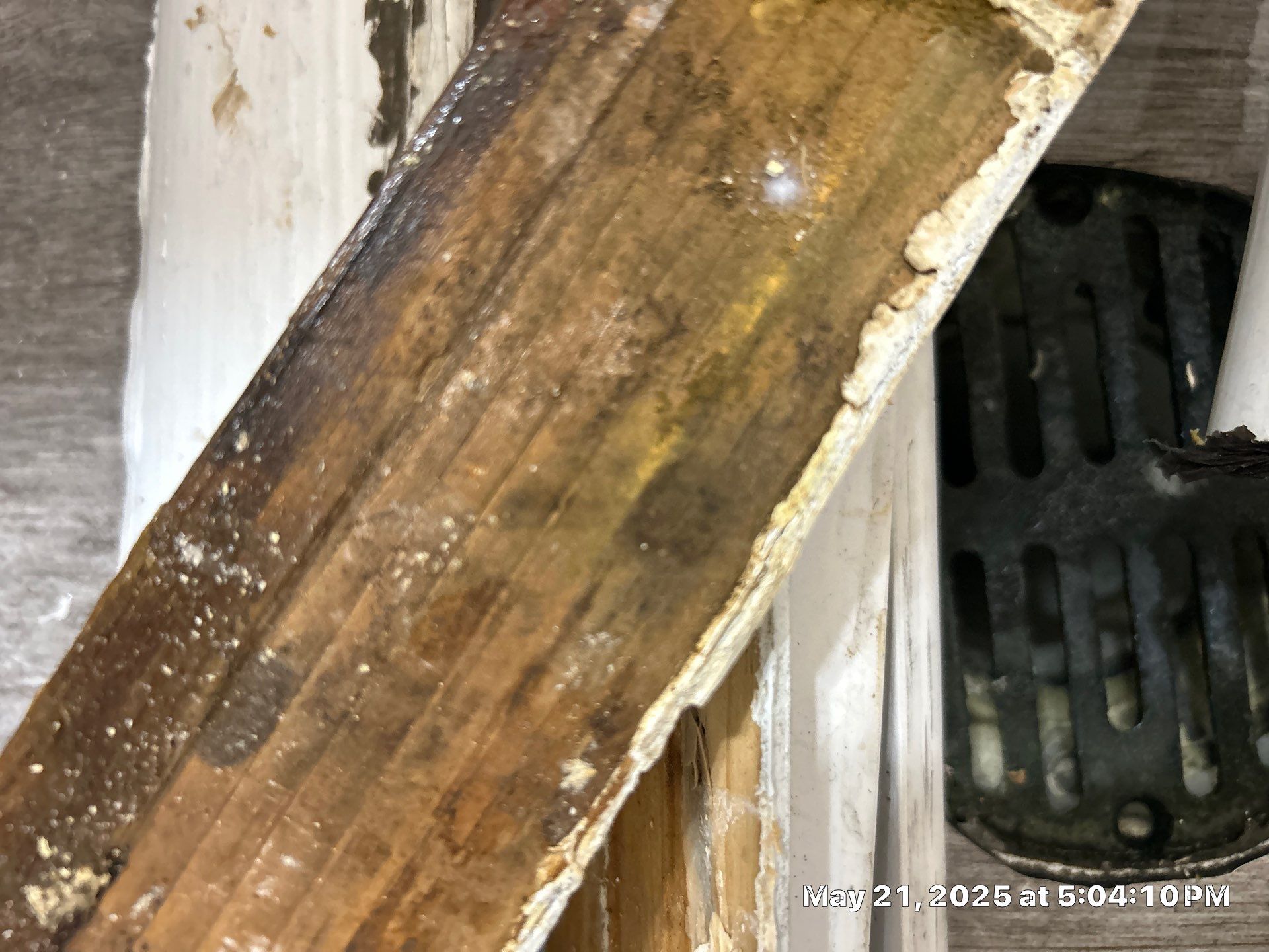 Bradenton Water Damage Restoration by Ampm Restoration Services
