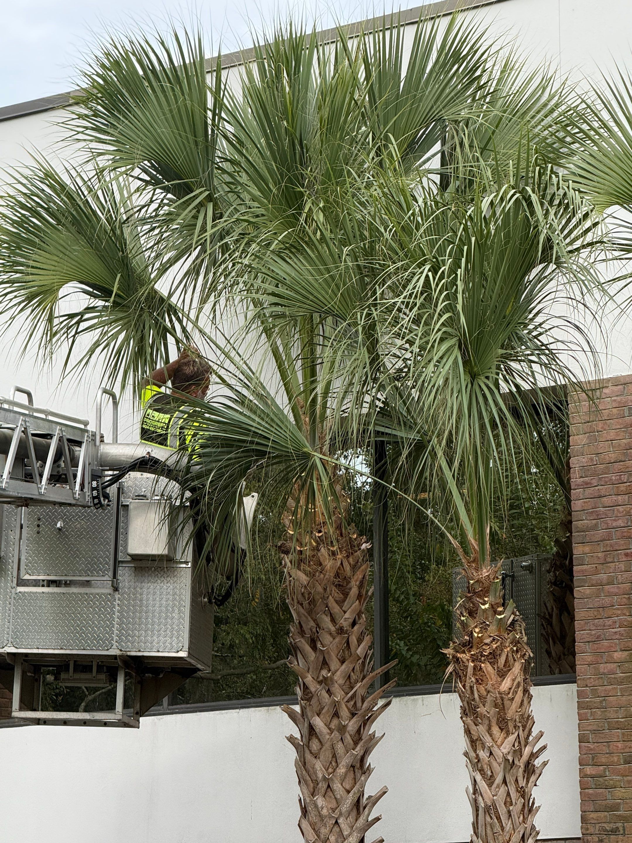 Volunteer Work | Episcopal High School of Jacksonville by ProGreen Services