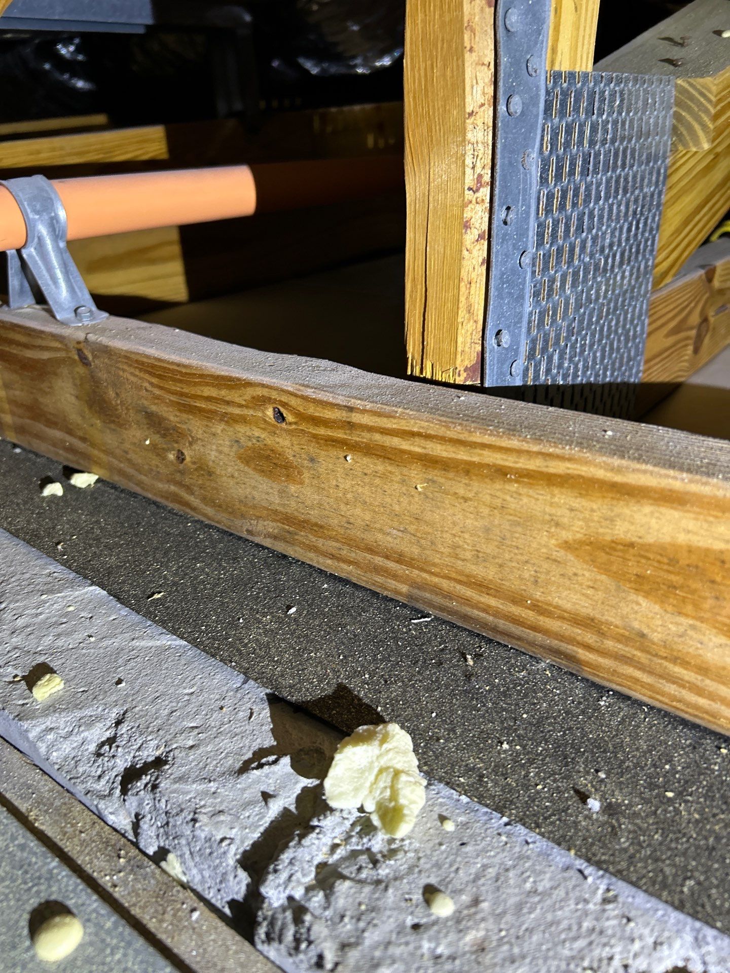 Mold Damage Restoration by Ampm Restoration Services