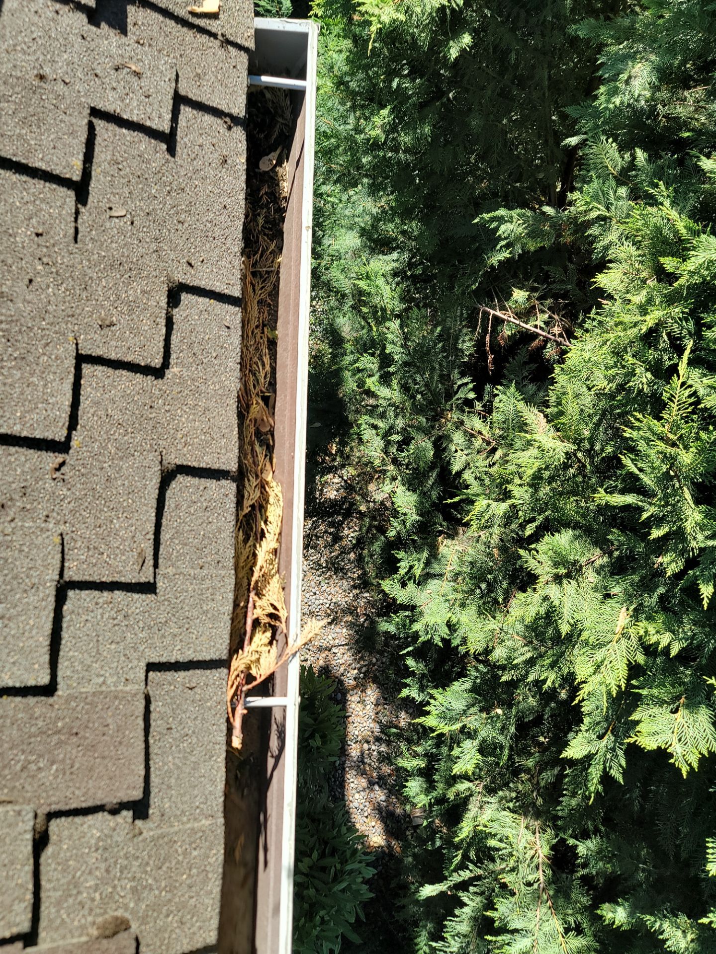 Commercial gutter cleaning Yakima & Tri Cities before photo with filled gutters