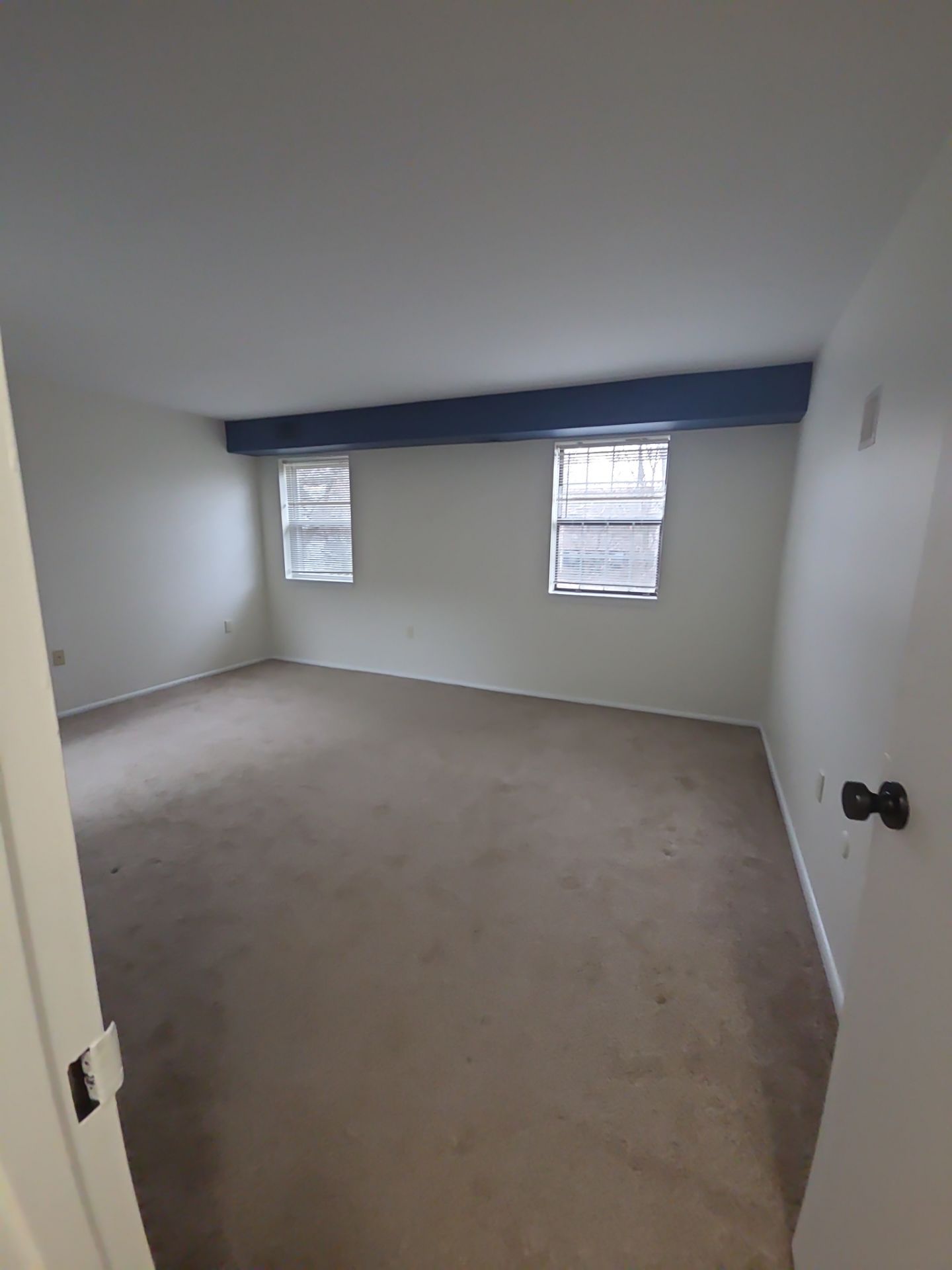 Whole Home Interior Refresh in Ambler by Groovy Hues