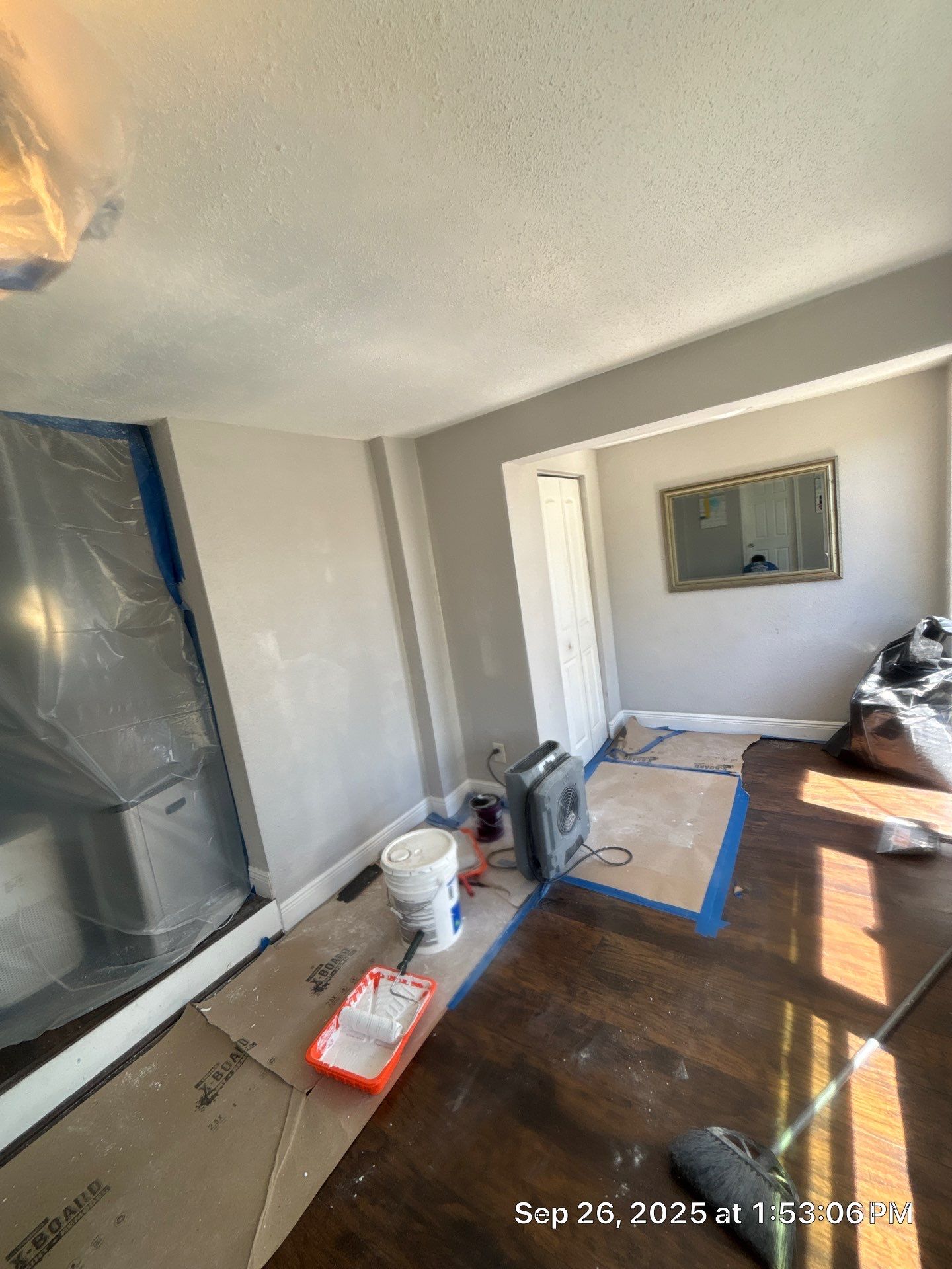 Mold Inspection & Mold Removal In St. Petersburg, FL by Ampm Restoration Services