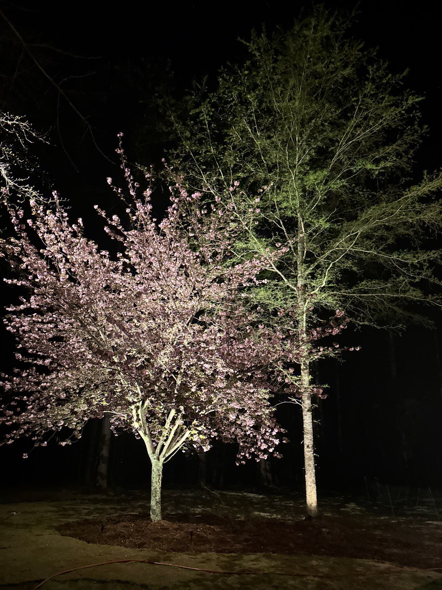 COLD Project by Georgia Outdoor Decor