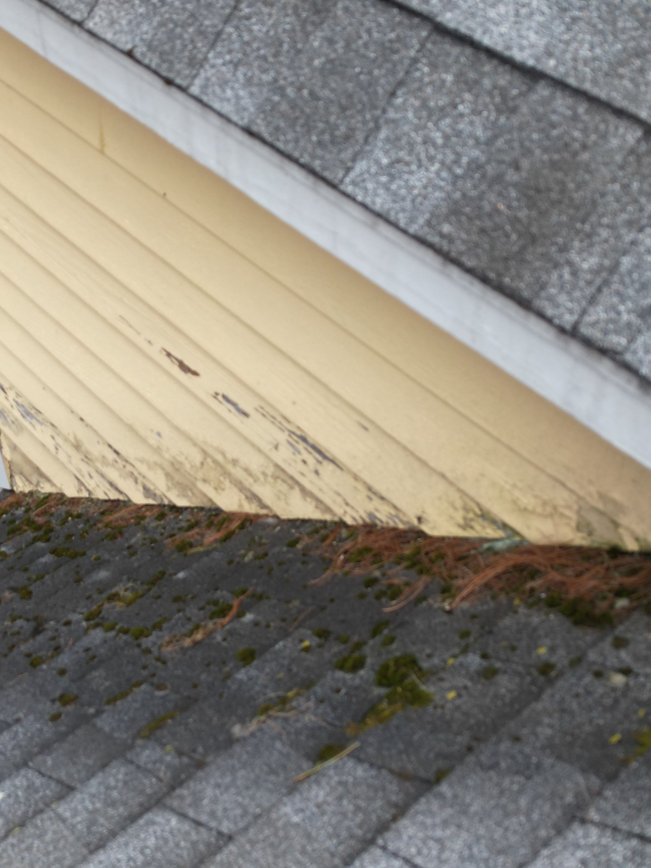 Siding | Dunstable by Mighty Dog Roofing of Greater Middlesex County
