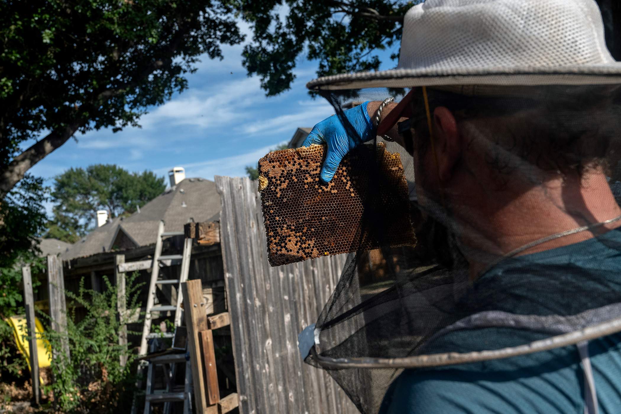 Brick Column by Rockwall Honey Bee Company