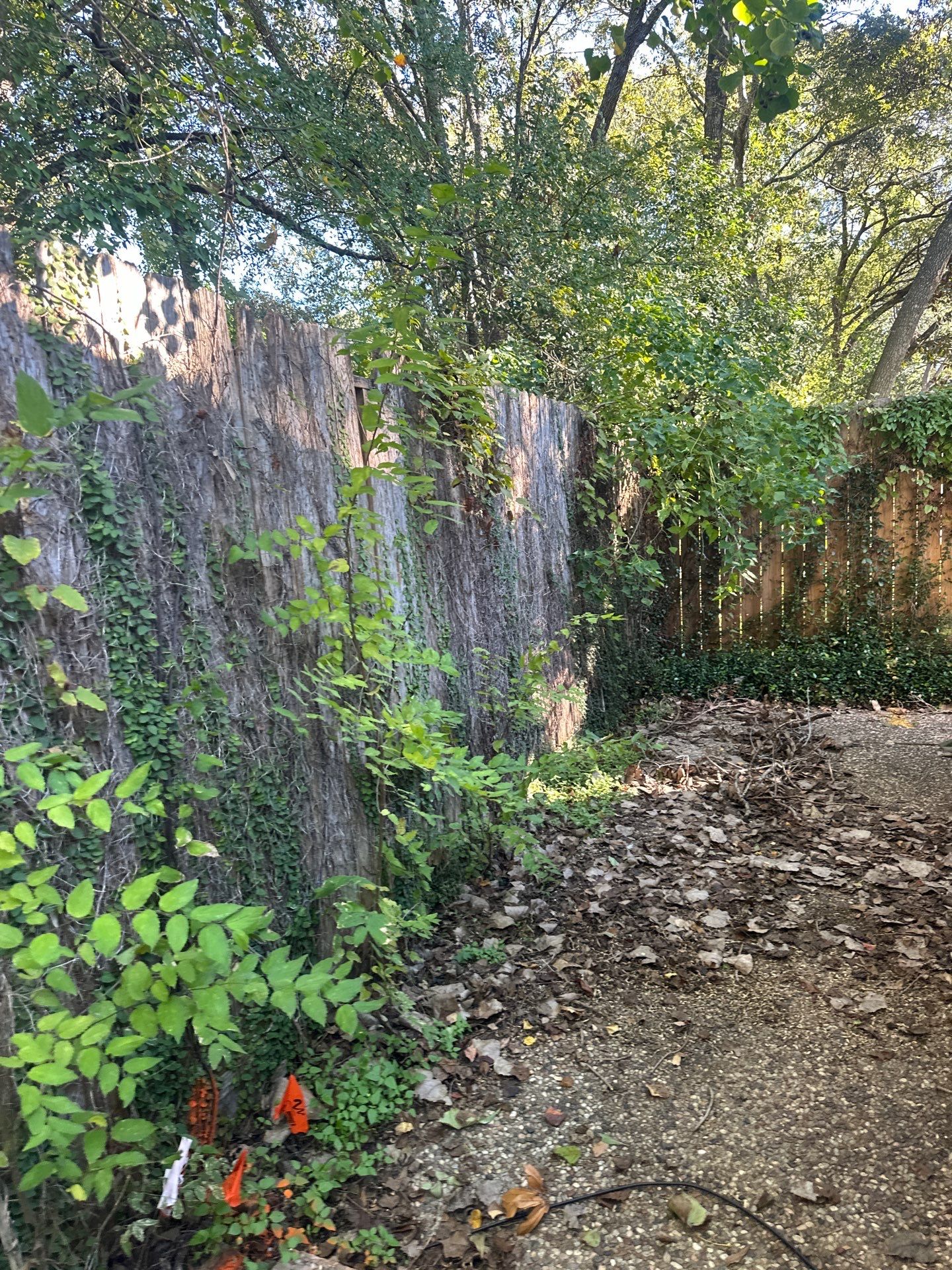 Fence Installation for Poolside Paradise by Tim's Fences