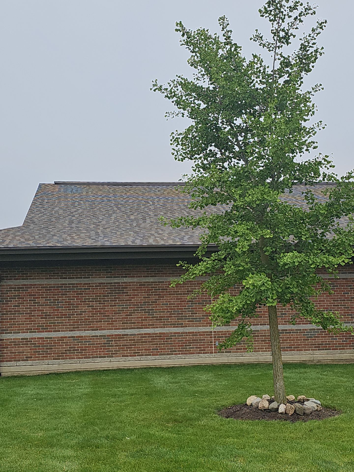 Library Roof and Gutters  by Nitro Roofing and Construction