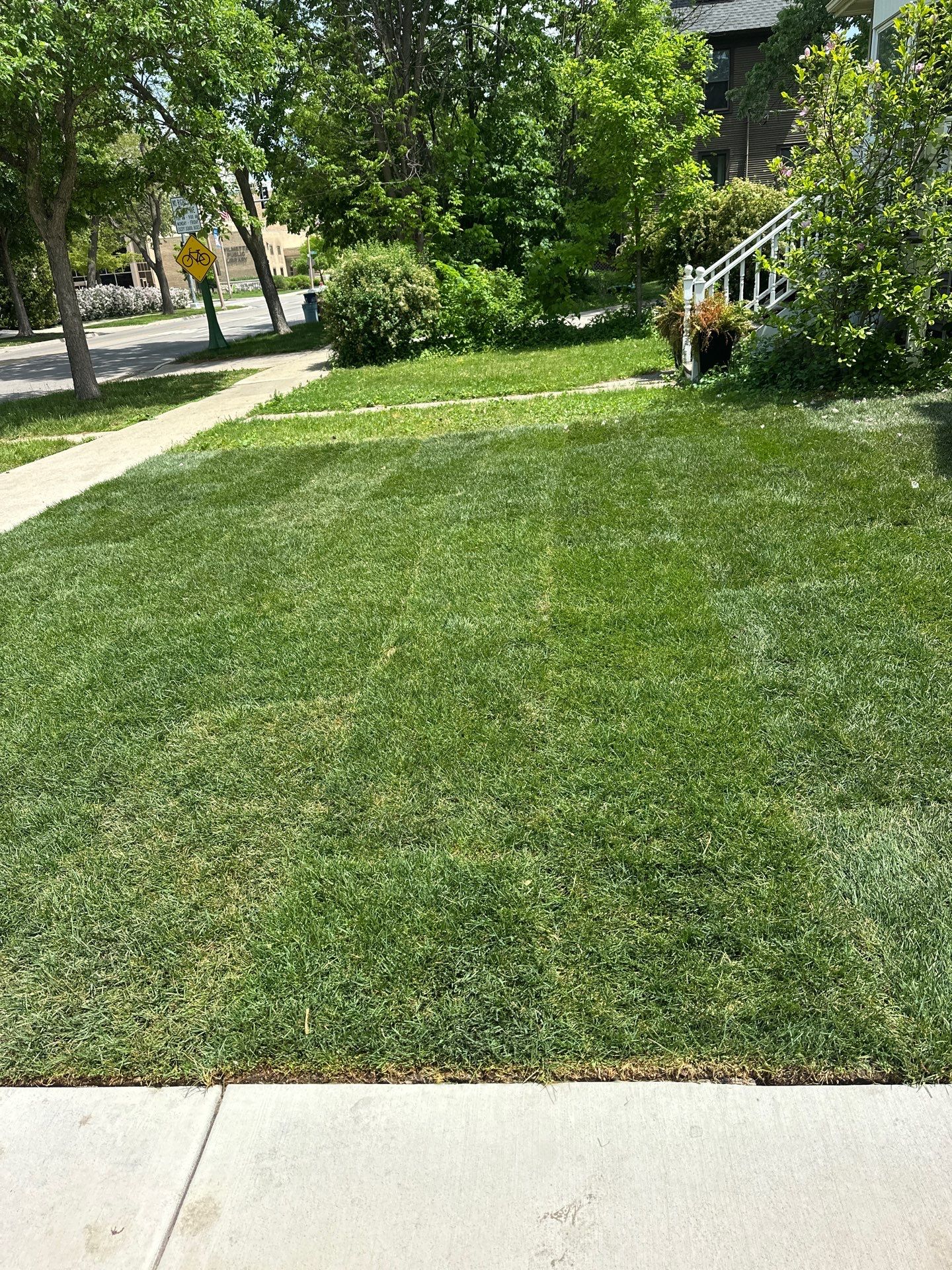 Tom D. - Wilmette, IL by A&N