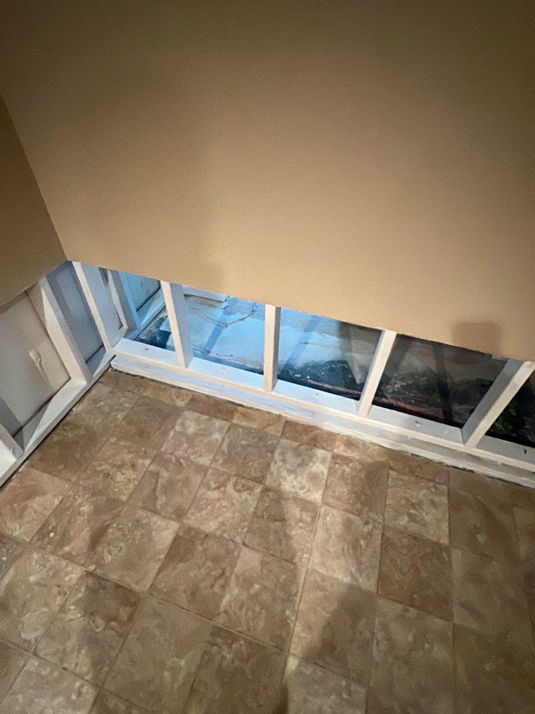 Mold Damage by Accountable Home Services