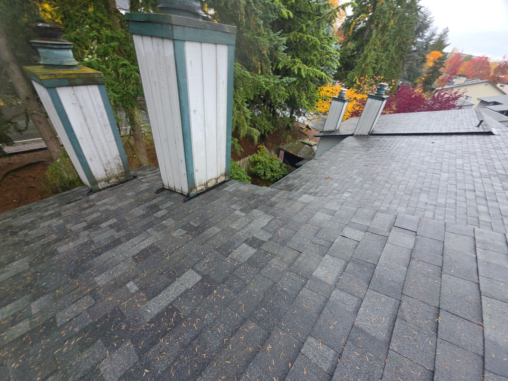 Roofing Project in Tukwila by Fred Meyer Roofing