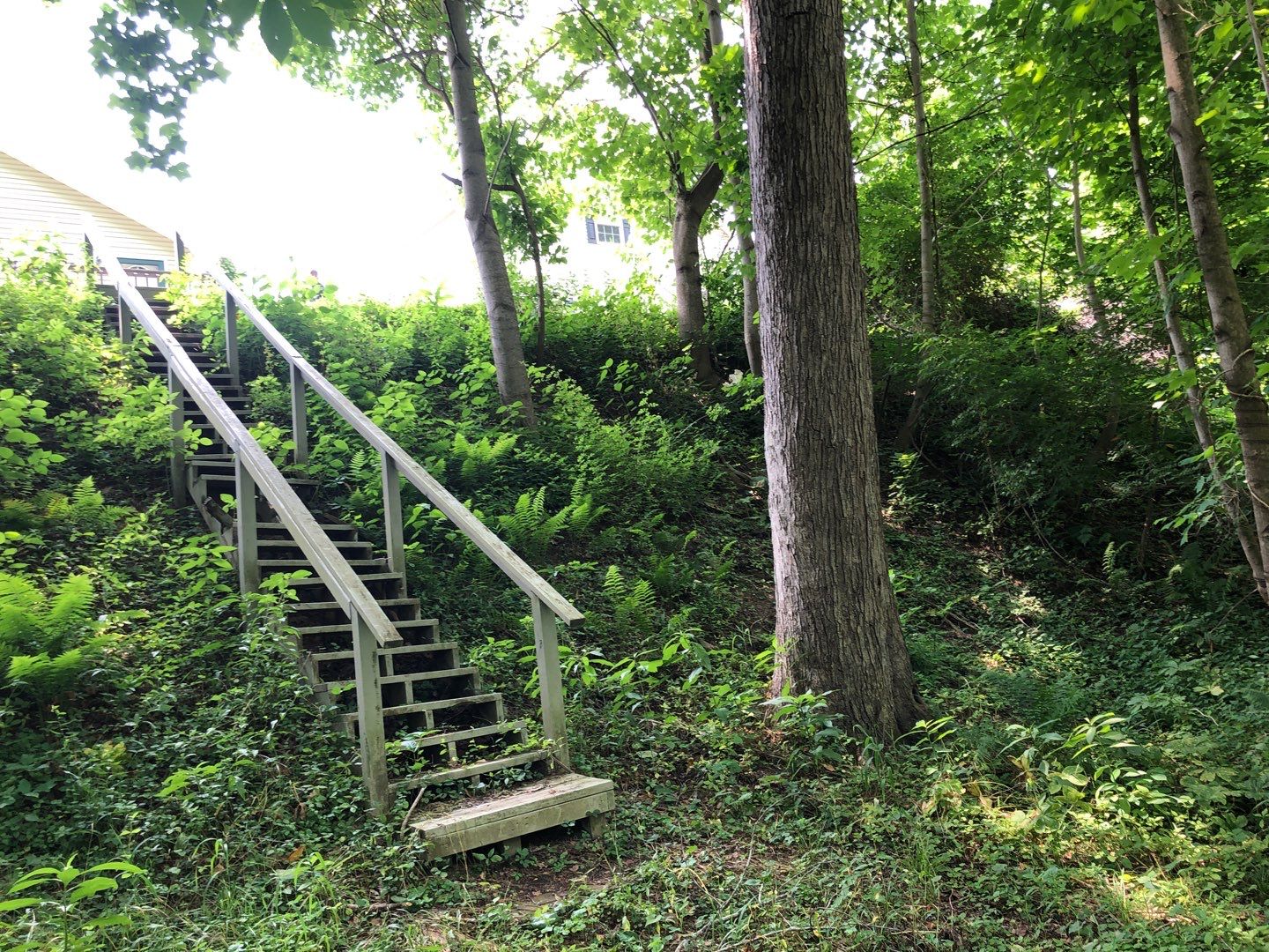 Gain unused yard space by GrassBusters, Inc.