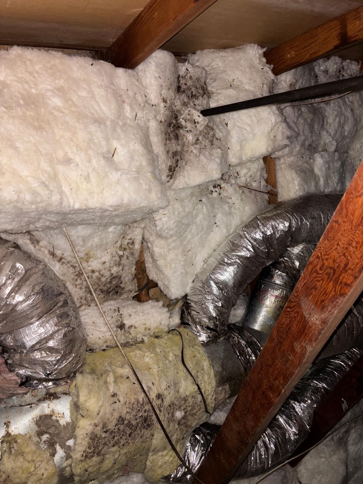 Project in Claremont by Insulation Labs