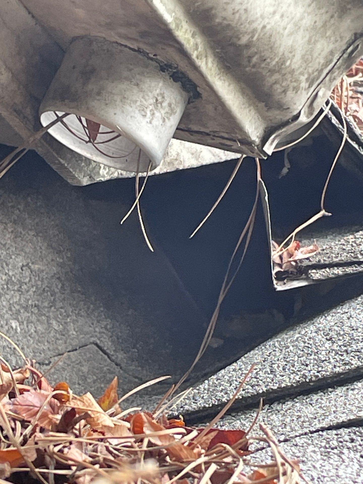 Residential Roofing Repair using Owen's Corning Duration (Lifetime) Shingles by Roof Repair Services LLC