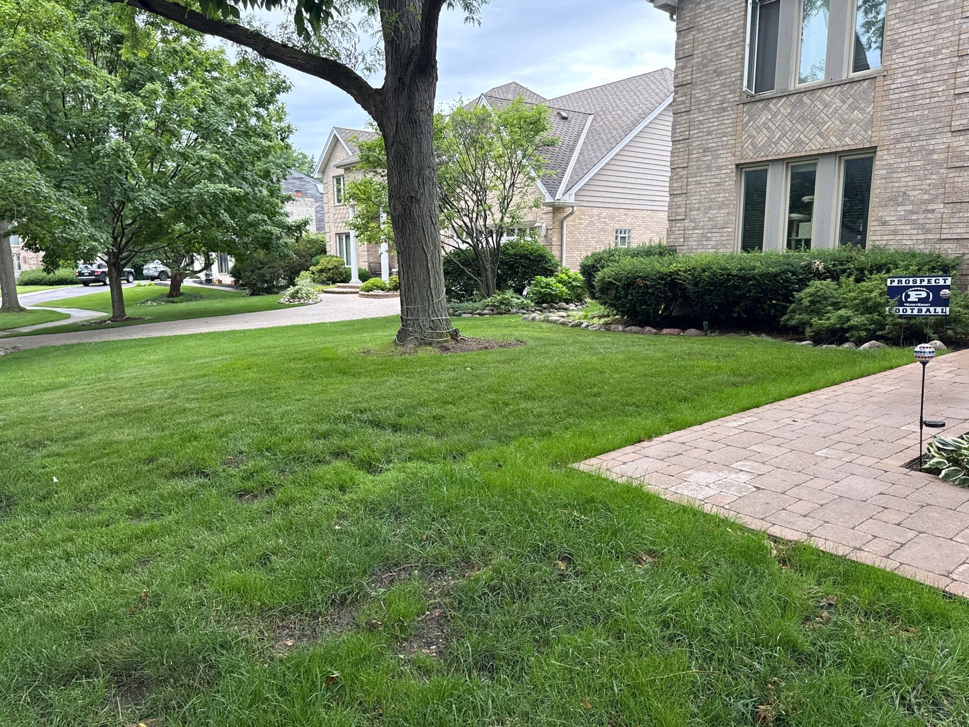 Kiersten C. - Mount Prospect, IL by A&N
