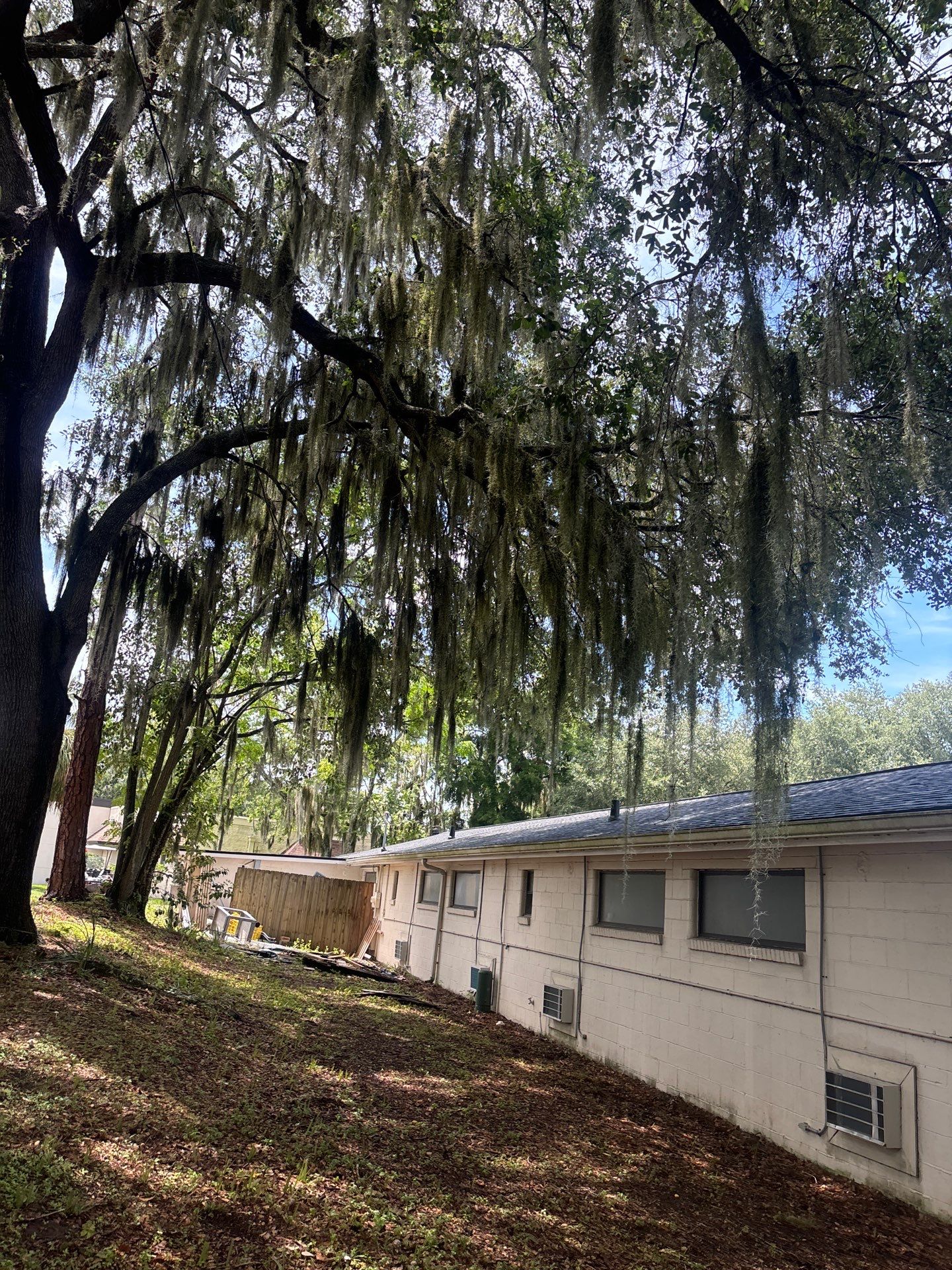 Project in Gainesville by True Force Roofing