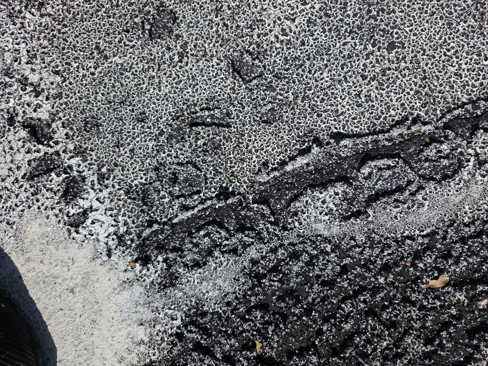Flat Roof Restoration and Silicone Coating in Boca Raton by Aastro Roofing