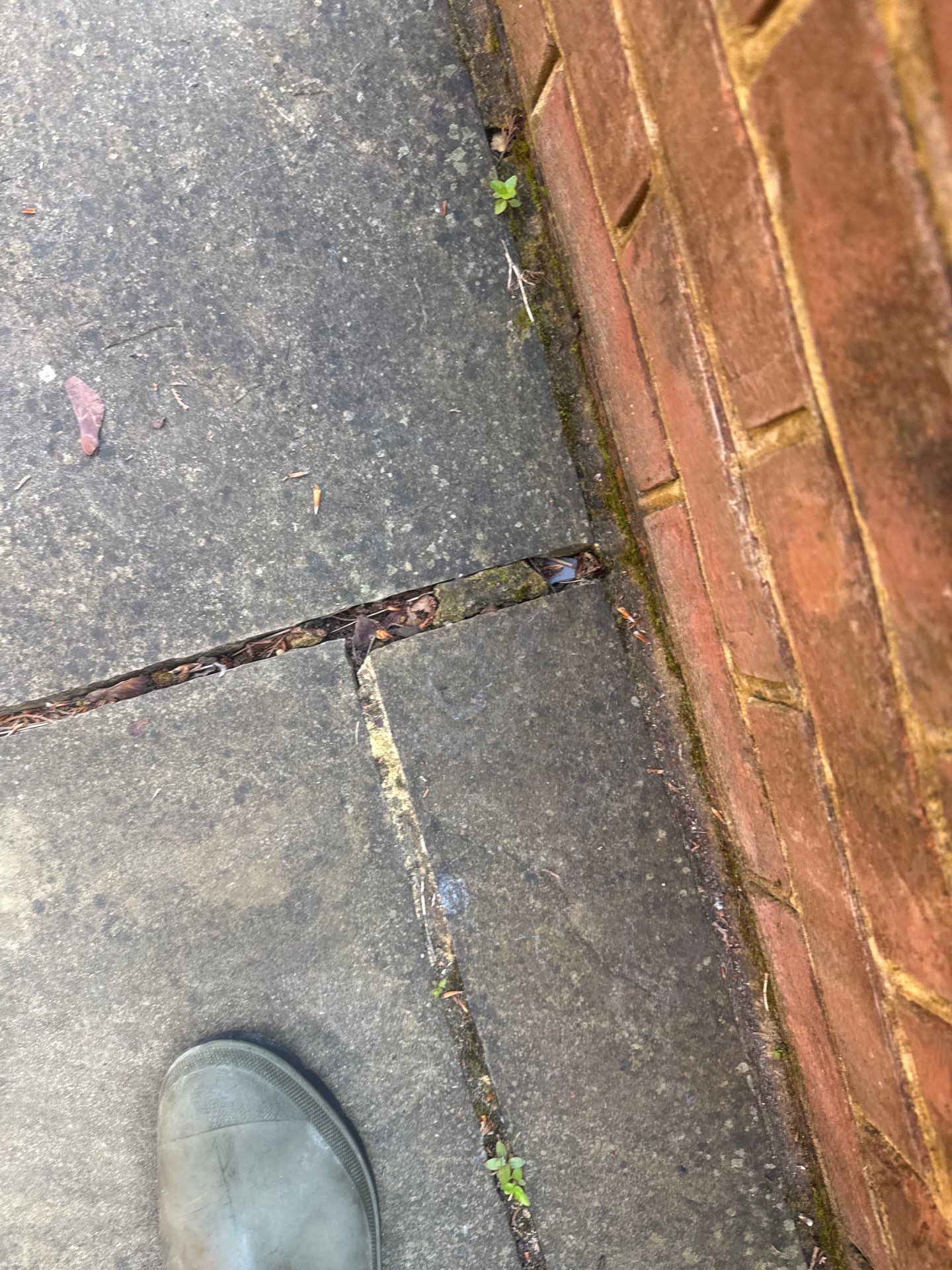 Patio Area Spring Clean using 18inch Whirlaway FSC by Ges Exterior Cleaning ltd