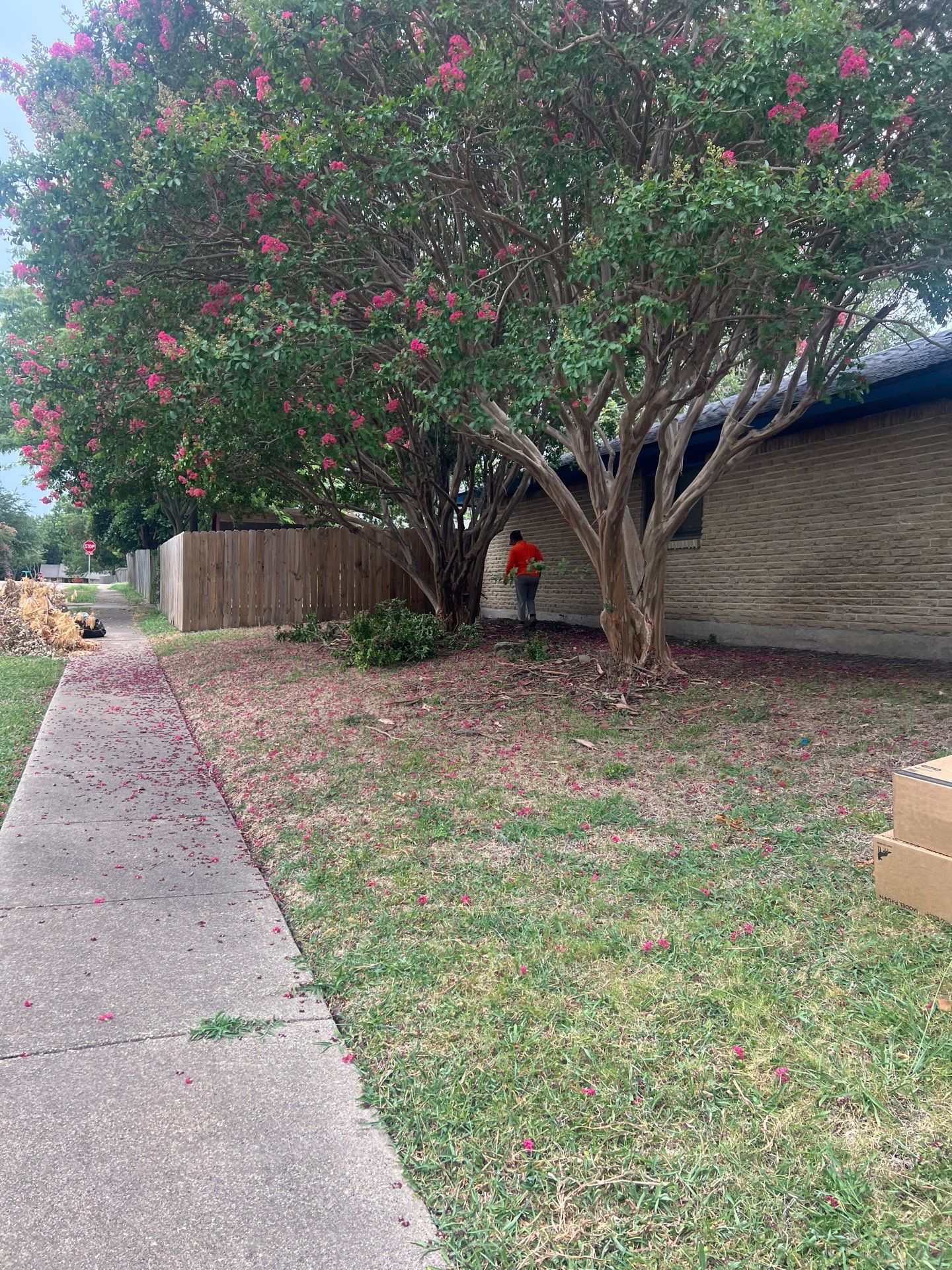 Project in Garland by Rhino Roofing and General Contracting, LLC