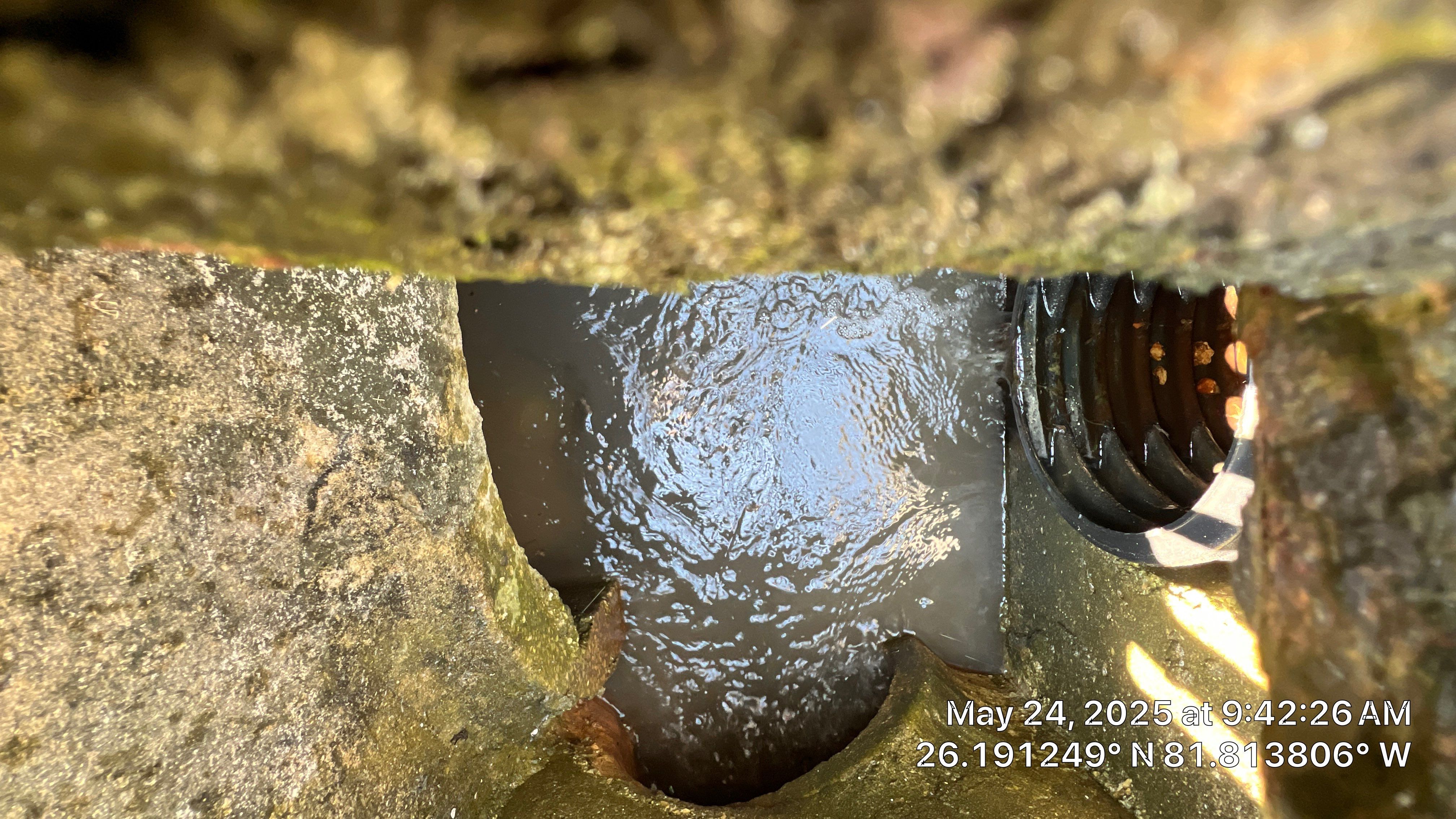 Gulfshore Condo Stormwater System Maintenance by Don Mar, Inc. Storm Water Solutions