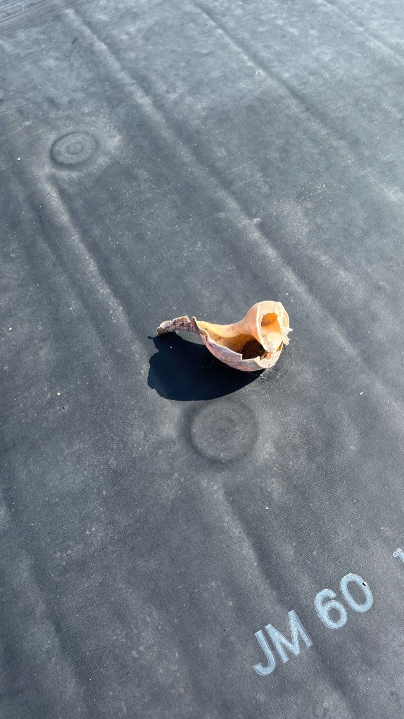 Zachry Nuclear Engineering, Inc. by Chaffee Roofing