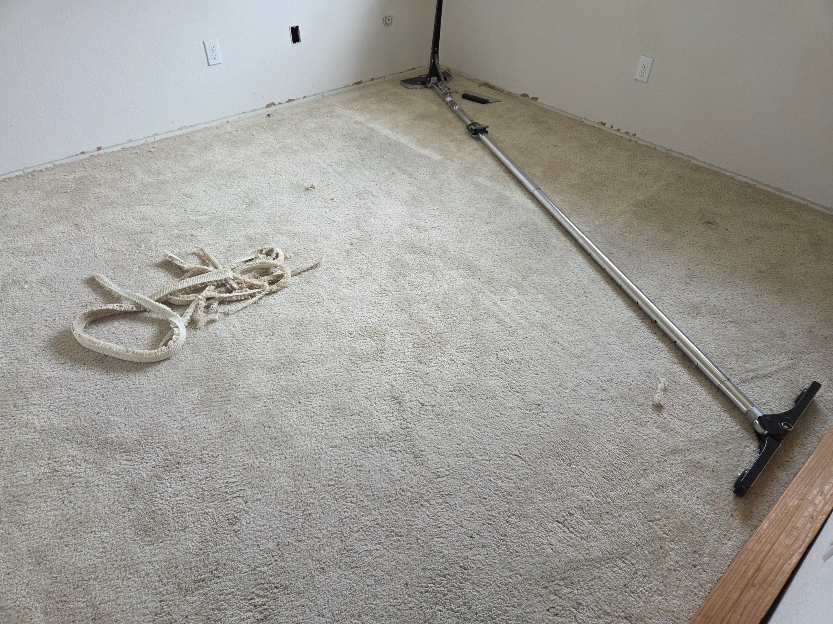 Carpet Re-stretching & Cleaning in Rosemont by Ardent Carpet Restore LLC