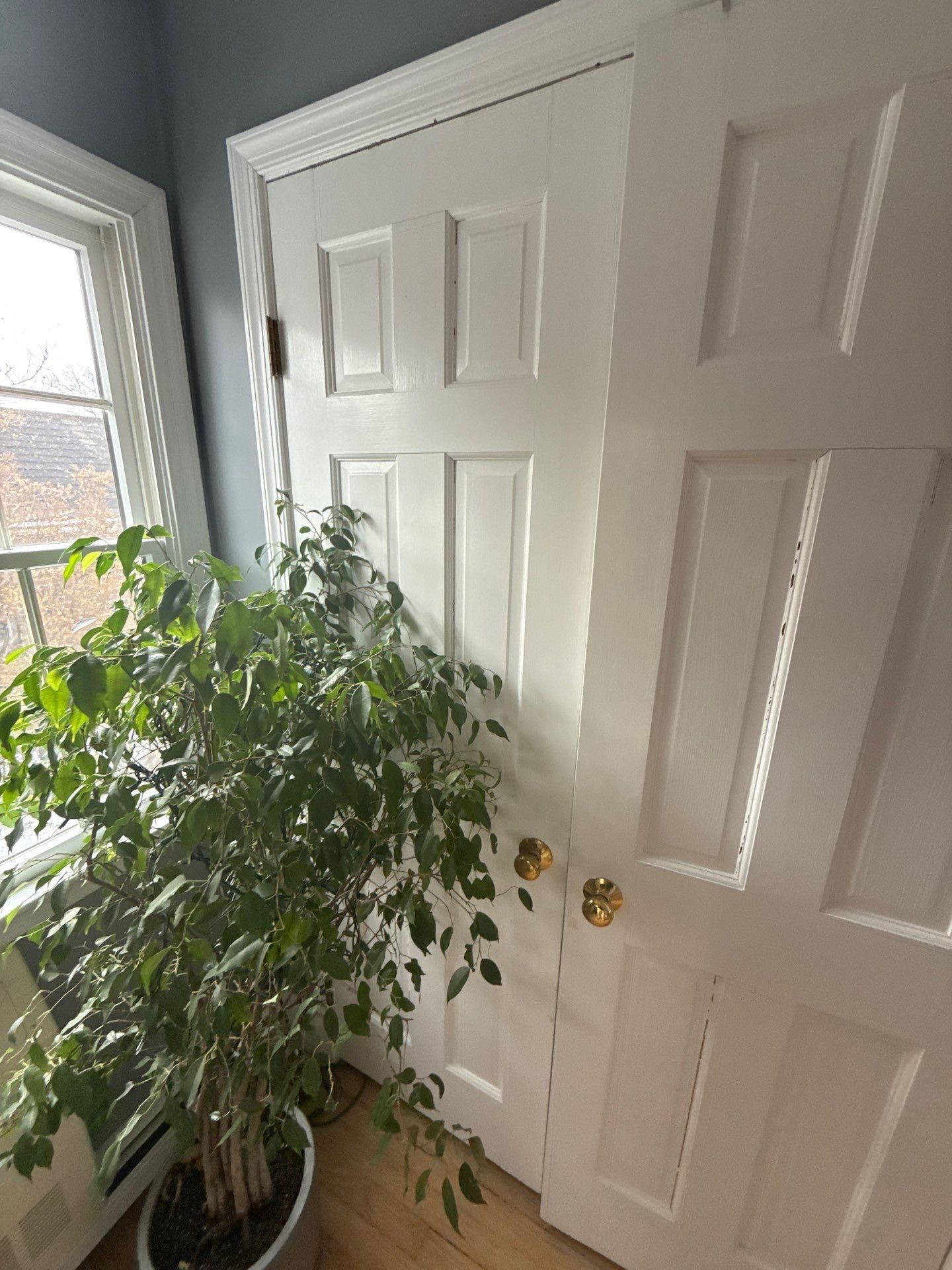 Carpentry & Trim in Arlington, VA by My Painter 