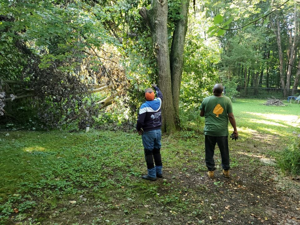 Storm Damaged Tree Removal  by Mike Jones & Sons Tree Service LLC 