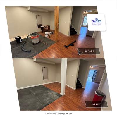 Interior Painting and Basement Living Space Refresh in Suwanee